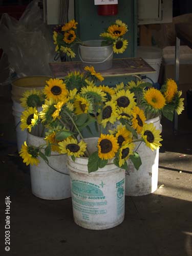 Farmers Market