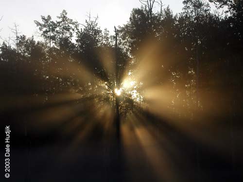 Foggy Landscape Photo