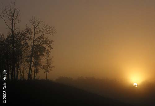 Foggy Landscape Photo