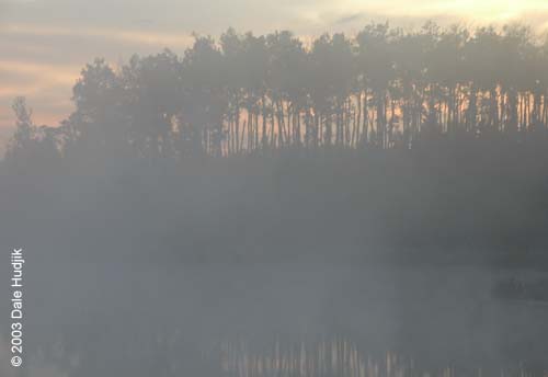 Foggy Landscape Photo