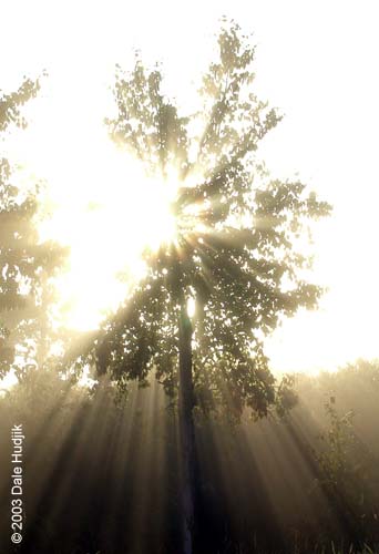 Foggy Landscape Photo