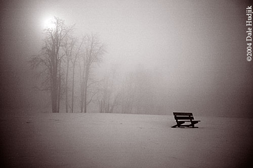 Empty Bench in the Snow