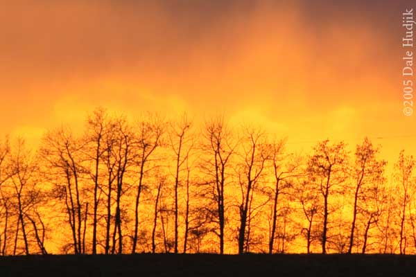 Fiery Sunset