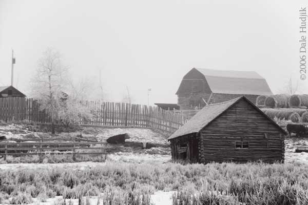 Farm Yard